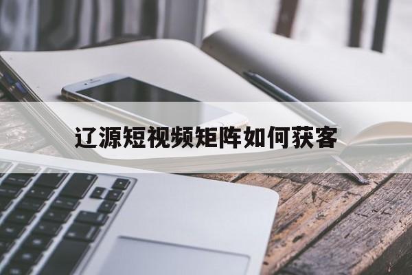 辽源短视频矩阵如何获客(个人短视频矩阵设计及分析)